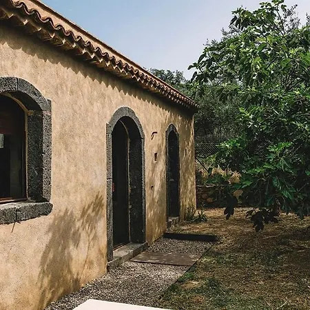 Weincottage Unterm Feigenbaum